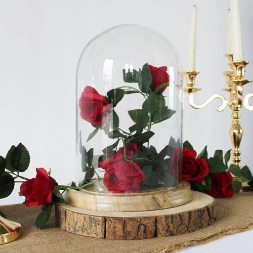 Glass Dome With Wooden Base 34.5cm - Lost Land Interiors