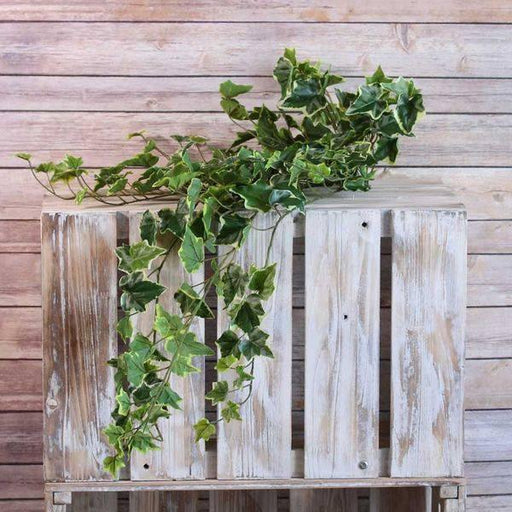 Artificial Ivy bush 86cm x191 Leaves Variegated - Lost Land Interiors