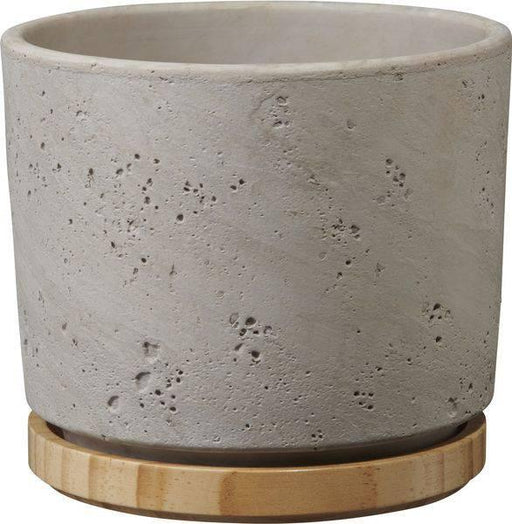 Concrete Ceramic Pot Light Grey / Wood (19 x 17cm) Industrial Indoor Planter - Lost Land Interiors
