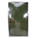 Natural Green Moss with Tray (500gr) - Lost Land Interiors
