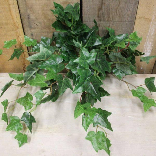 17" English Ivy Bush Artificial Floral Supplies - Lost Land Interiors