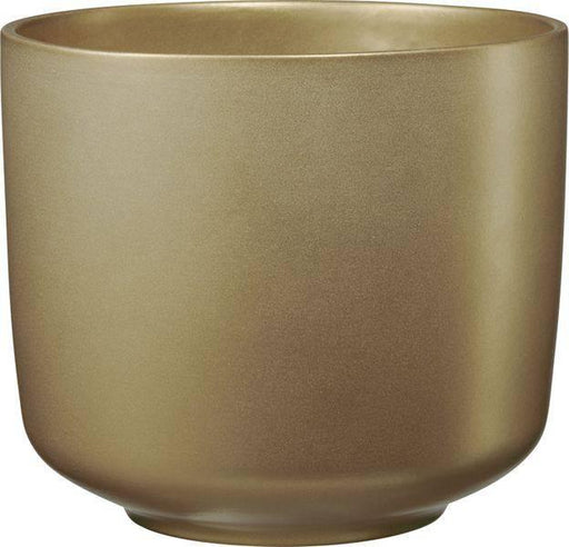 Bari Ceramic Pot Gold (16cm x 14cm) - Lost Land Interiors