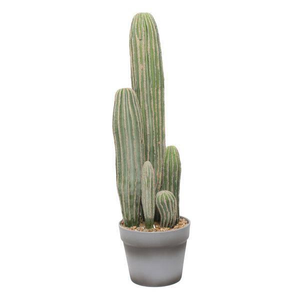 Artificial Potted Cactus (23inch) - Lost Land Interiors