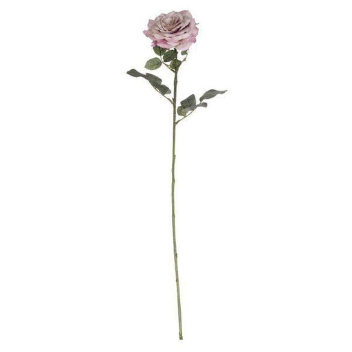 5x Single Aidde Rose Antique Pink Flower Stem Bouquet 74cm - Lost Land Interiors