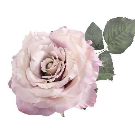 5x Single Aidde Rose Antique Pink Flower Stem Bouquet 74cm - Lost Land Interiors