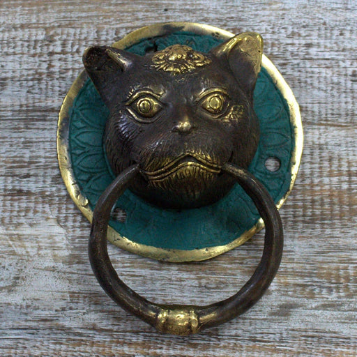 Brass Door Knocker - Cats Head - Lost Land Interiors