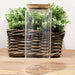 Cottage Bamboo Glass Jar - 25cm - Lost Land Interiors