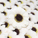 Craft Soap Flowers - Sml Sunflower - Ivory - Lost Land Interiors