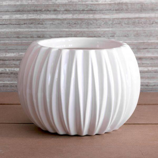 White Ribbed Ceramic Pot 18.3cm - Lost Land Interiors