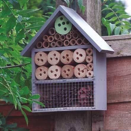 Kingfisher Insect Hotel Wooden Insect House - Lost Land Interiors