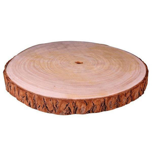 Natural Wood Slice (XL) 32-37cm - Lost Land Interiors