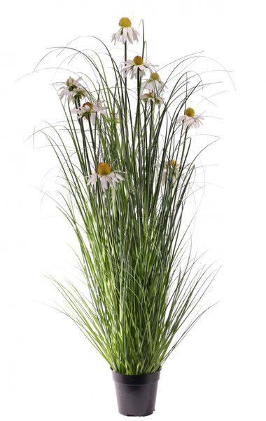 Wild Flower Plant Potted 122cm - Lost Land Interiors
