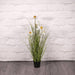 Wild Flower Plant Potted 60cm - Lost Land Interiors