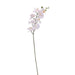 White Orchid Phalaenopsis Spray 34.5 inch Artificial Flowers - Lost Land Interiors