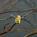 Stick on Bees 2cm (x12) Craft Bee - Lost Land Interiors
