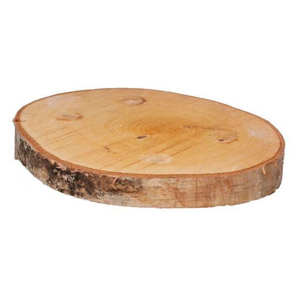 Birch Log Slice (L) Wood Slice Large - Lost Land Interiors