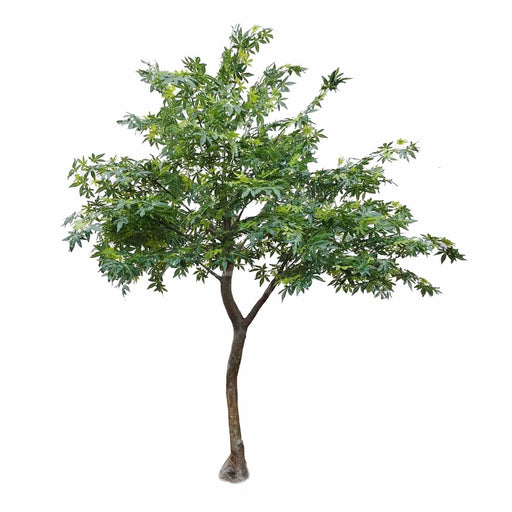 Artificial Japanese Maple Tree Green (2.8M) - Lost Land Interiors