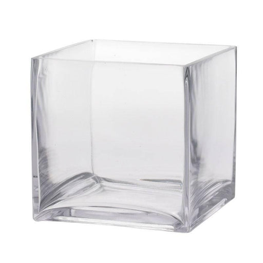 Glass Cube 16cm Square Glass Vase - Lost Land Interiors
