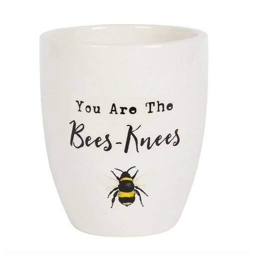 You Are the Bees Knees Ceramic Plant Pot - Lost Land Interiors