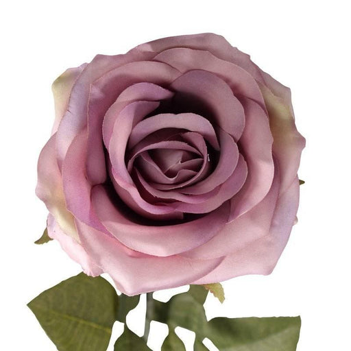 Vintage Rose Lilac - Lost Land Interiors