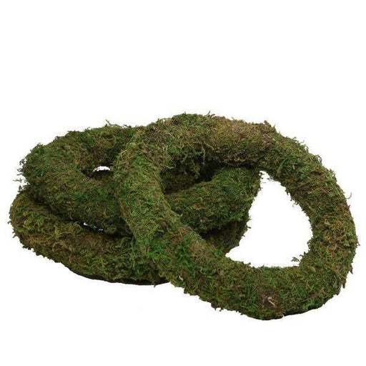 10 Inch Moss Wreath Ring - Lost Land Interiors