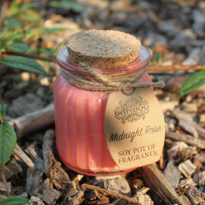 Midnight Rose Soy Pot of Fragrance Candles - Lost Land Interiors