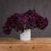 Purple Hydrangea Bouquet - Lost Land Interiors