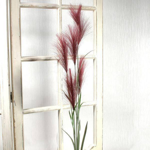 Red Pampas Grass (145cm) - Lost Land Interiors