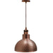 Modern Pendant Light Metal Ceiling Lamp Shade~2466 - Lost Land Interiors
