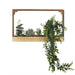Succulent Wall Crate Wall Hanging Decoration Plant Living Wall Style - Lost Land Interiors