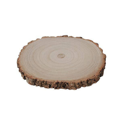 Medium Oval Wood Slice 26-32cm - Lost Land Interiors