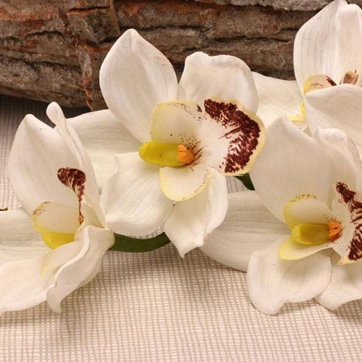 Real Touch Large Cymbidium White (36inch) - Lost Land Interiors
