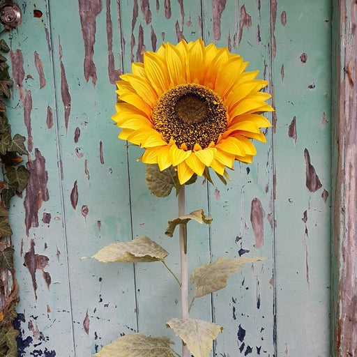 Sunflower 110cm - Lost Land Interiors