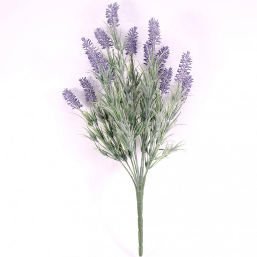 Lavender Plant - Lost Land Interiors