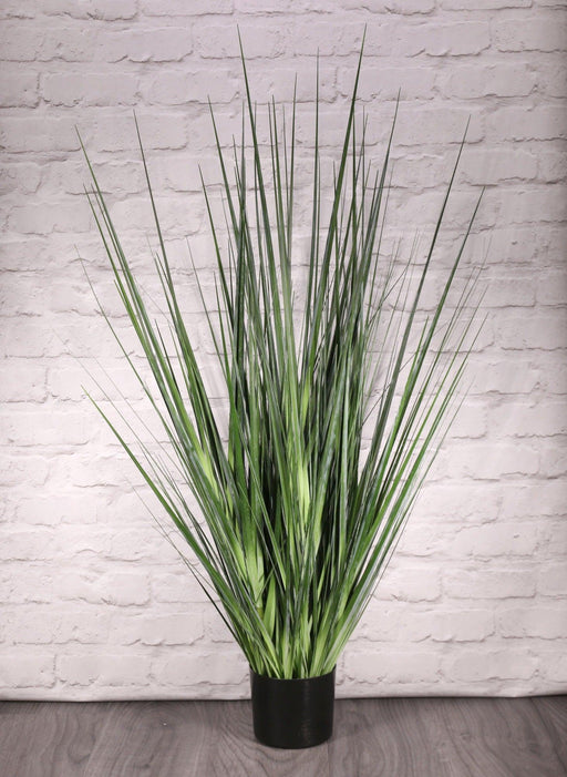 Potted Flat Grass (122cm) - Lost Land Interiors