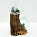 Double  Glass and teak terrarium vase  - Hand blown recycled glass and sustainable teak - Lost Land Interiors