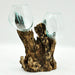 XL Double  Glass and teak terrarium vase  - Hand blown recycled glass and sustainable teak - Lost Land Interiors