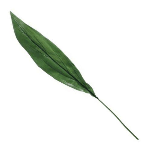 Extra Large Aspidistra Leaf Green (81cm) - Lost Land Interiors