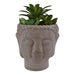 Trio of Faux Succulents in Buddha Head Cement Pot - Lost Land Interiors