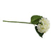 Single Hydrangea Spray, Cream Flower, 49cm - Lost Land Interiors