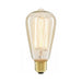 ST64 E27 60W Dimmable Squirrel Industrial Filament Vintage Bulb~3239 - Lost Land Interiors