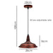 Vintage Industrial Retro Loft Ceiling Lamp New Modern Shade Pendant Light~2703 - Lost Land Interiors