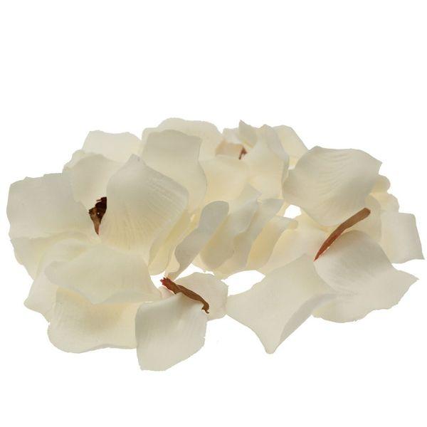 Cream Rose Petal Confetti - Lost Land Interiors
