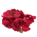 Hot Pink Rose Petals - Lost Land Interiors