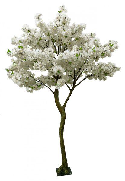 Cream Blossom Tree (2.7m)Artificial Decorative Tree - Lost Land Interiors