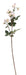 White Wild Rose Spray Artificial Flowers - Lost Land Interiors