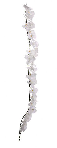 White Orchid Garland (150cm) Artificial Wedding Flowers Deco - Lost Land Interiors