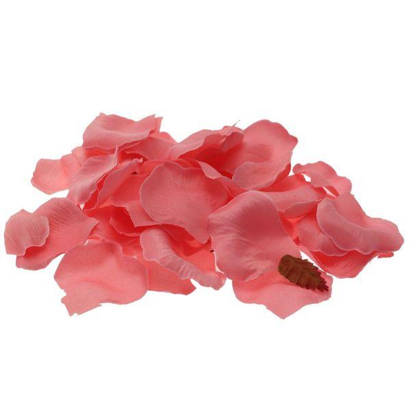 Baby Pink Rose Petals - Lost Land Interiors