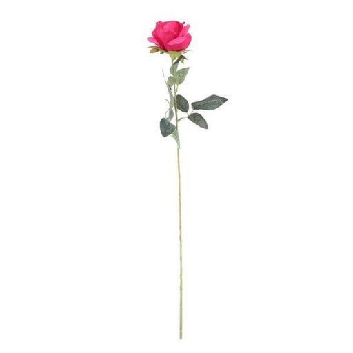 Arundel Rose Fuchsia - Lost Land Interiors