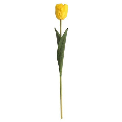 Tulip Yellow - Lost Land Interiors